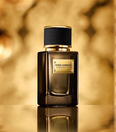 velvet cologne dolce gabbana.